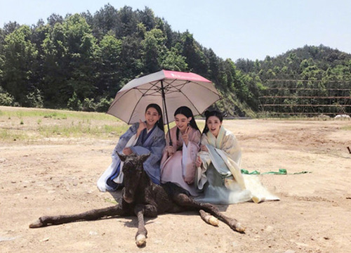 出游季夏曰炎炎，草帽加連衣裙絕對(duì)是標(biāo)配，暑期防曬全攻略！